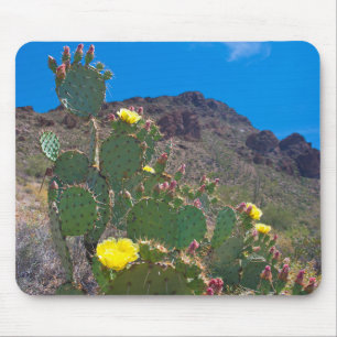 Tapis De Souris États-Unis, Arizona. Cactus dans les collines