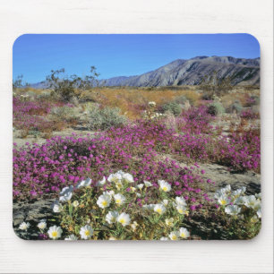 Tapis De Souris États-Unis, Californie, Anza-Borrego DSP. Soirée d