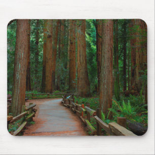 Tapis De Souris États-Unis, Californie. Chemin parmi les séquoias