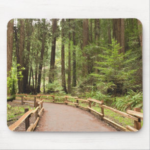 Tapis De Souris États-Unis, Californie, comté de Marin, Muir Woo