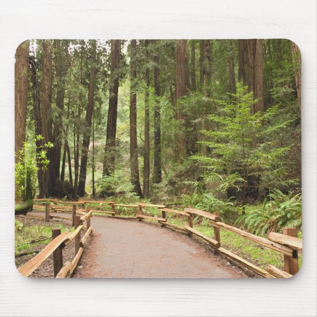 Tapis De Souris États-Unis, Californie, comté de Marin, Muir Woods (Devant)