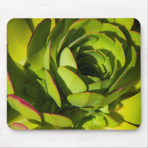 Tapis De Souris États-Unis, Californie. Fermeture du Plante géan