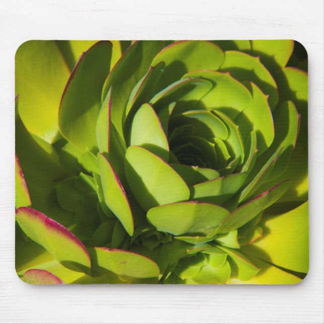 Tapis De Souris États-Unis, Californie. Fermeture du Plante géant  (Devant)