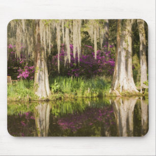 Tapis De Souris États-Unis, Caroline du Sud, Charleston. Cyprès