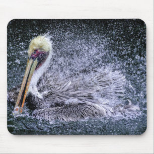 Tapis De Souris États-Unis, Floride. Pélican brun