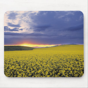 Tapis De Souris États-Unis, Idaho, Swan Valley. Un coucher de sole