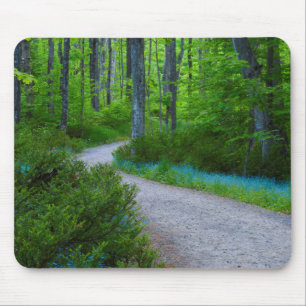 Tapis De Souris États-Unis, Michigan. Chemin à travers les bois
