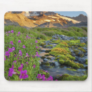 Tapis De Souris États-Unis, Mt. Rainier National Park, Washington.
