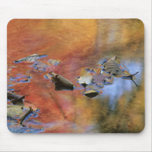 Tapis De Souris États-Unis, New York, Adirondacks, Feuilles mortes