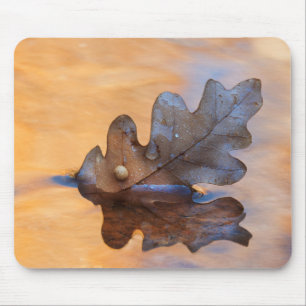 Tapis De Souris États-Unis, Nouveau-Mexique. Feuille de chêne da