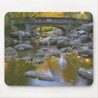 États-Unis, Oregon, Ashland, Lithia Park. Automne