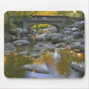 Tapis De Souris États-Unis, Oregon, Ashland, Lithia Park.Automne