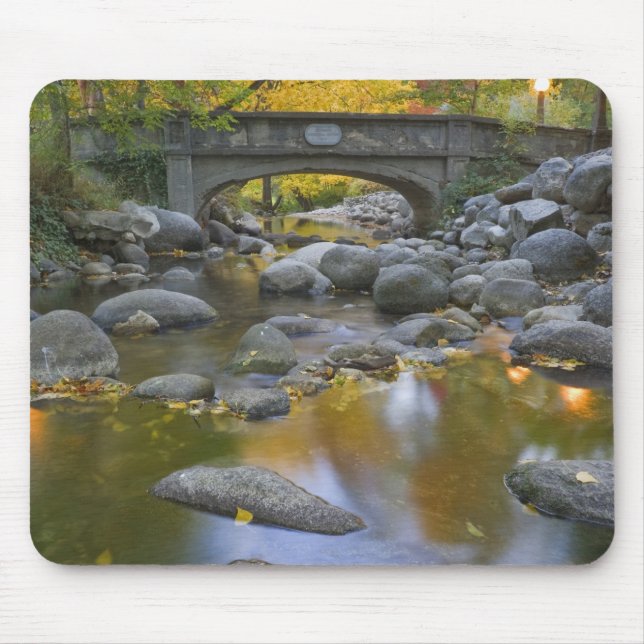 Tapis De Souris États-Unis, Oregon, Ashland, Lithia Park.Automne (Devant)