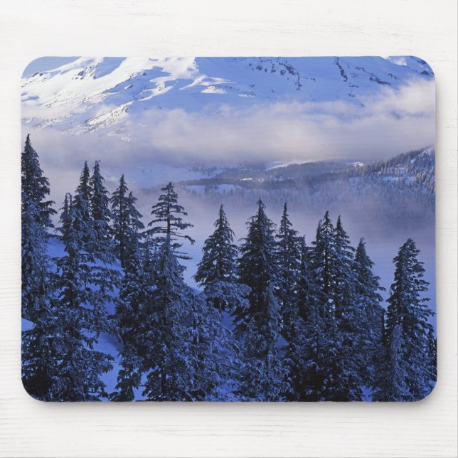 Tapis De Souris États-Unis, Oregon, Forêt nationale de Deschutes,  (Devant)