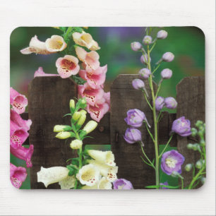 Tapis De Souris États-Unis, Pennsylvanie. Digitale et delphinium