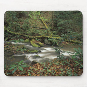 Tapis De Souris États-Unis, Tennessee. Big South Fork