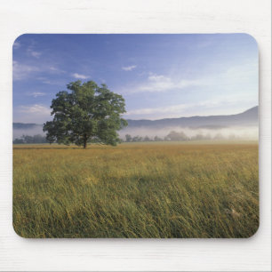 Tapis De Souris États-Unis, Tennessee. Great Smokey Mountains