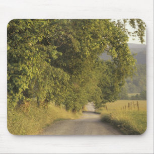 Tapis De Souris États-Unis, Tennessee, Great Smoky Mountains Natio
