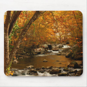Tapis De Souris États-Unis, Tennessee. Ruisseau Rushing Mountain 