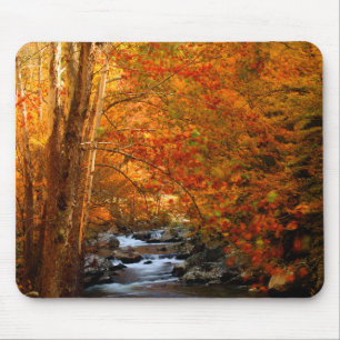 Tapis De Souris États-Unis, Tennessee. Ruisseau Rushing Mountain 