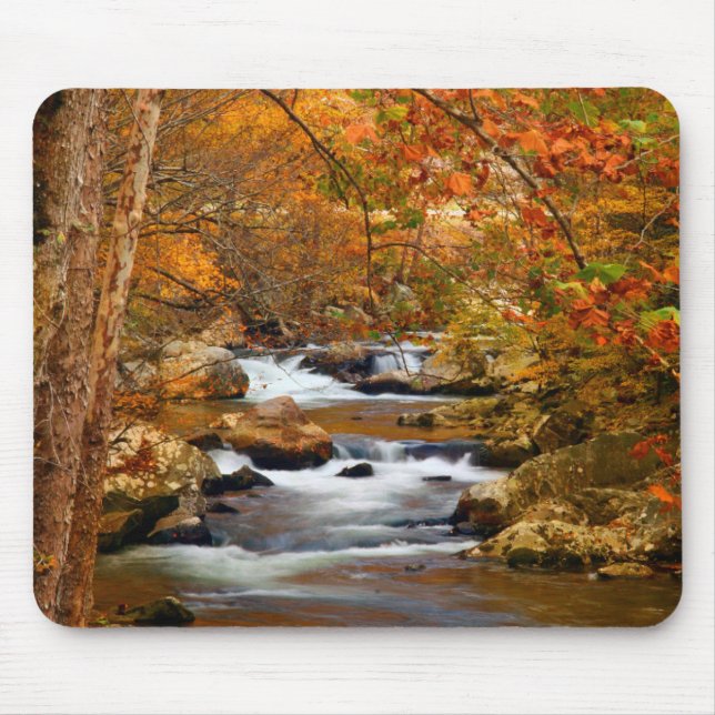 Tapis De Souris États-Unis, Tennessee. Ruisseau Rushing Mountain (Devant)