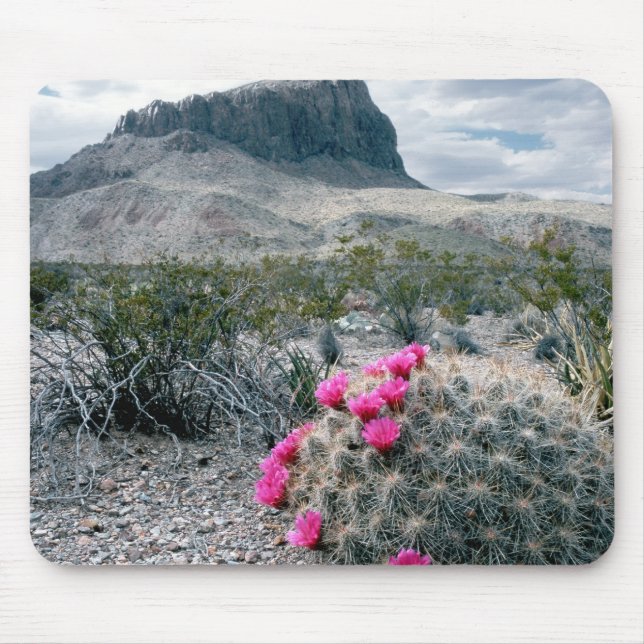Tapis De Souris États-Unis, Texas, Big Bend National Park.Flambée (Devant)
