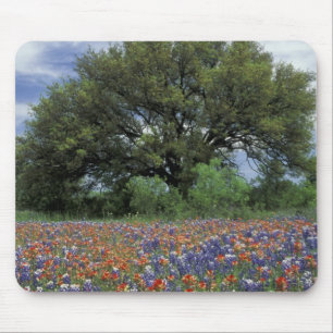Tapis De Souris États-Unis, Texas, Marble Falls Pinceau et