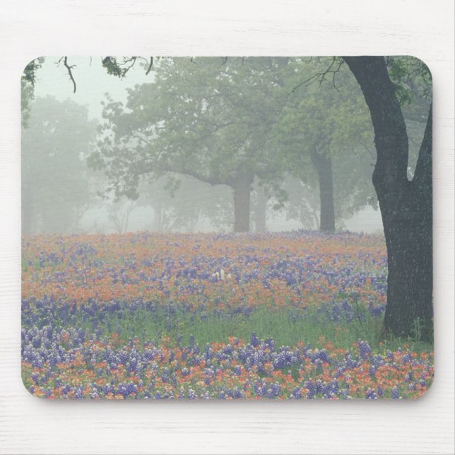 Tapis De Souris États-Unis, Texas. Pinceau texan et bleuets (Devant)