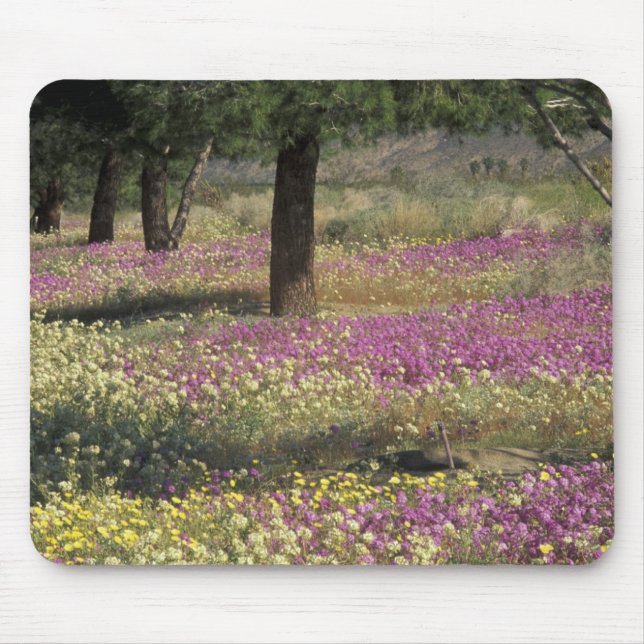 Tapis De Souris États-Unis, Texas, Sand Verbena et Brown oeil (Devant)