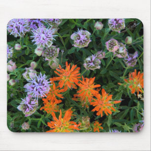 Tapis De Souris États-Unis, Utah, Uinta-Wasatch-Cache National Fo