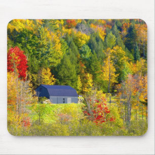 Tapis De Souris États-Unis, Vermont. Chute de brouillard le long 