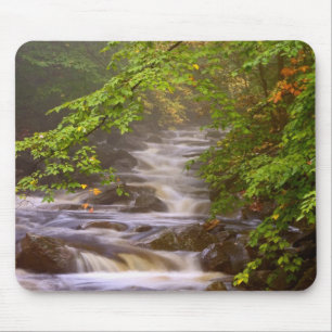 Tapis De Souris États-Unis, Vermont, East Arlington, Ruisseaux