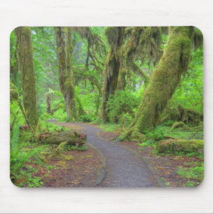 Tapis De Souris États-Unis, Washington, Parc national Olympique, H