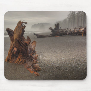 Tapis De Souris États-Unis, Washington, Parc national Olympique, R