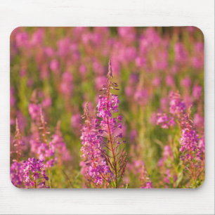 Tapis De Souris États-Unis, Washington, Seattle, Discovery Park 3