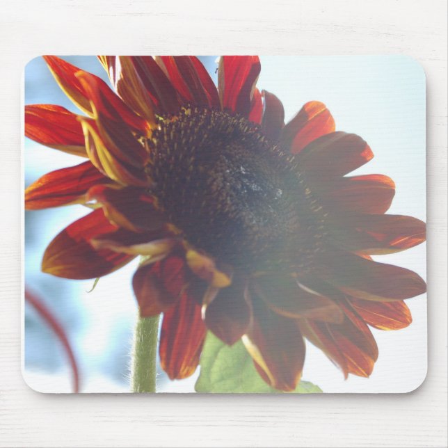 Tapis De Souris Été SunFlower (Devant)