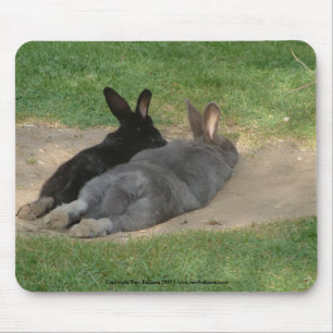 - Tapis de souris étiré par lapins. Adaptez aux