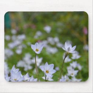 Tapis De Souris Étoile de printemps
