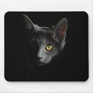 Tapis De Souris Europe à courte distance Chat noir Portrait de