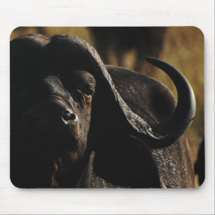 Tapis de souris exclusifs de concepteur de Buffalo