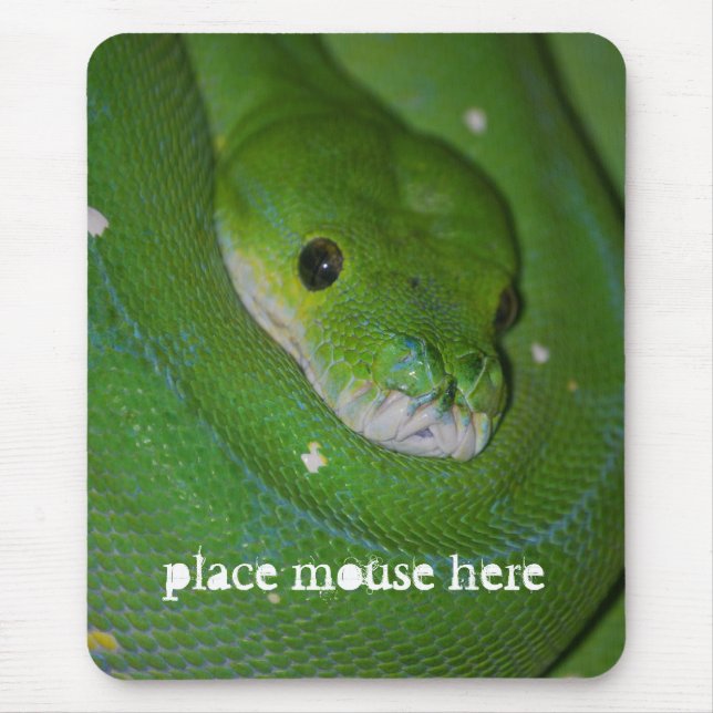 Tapis de souris exotique enroulé de serpent vert (Devant)