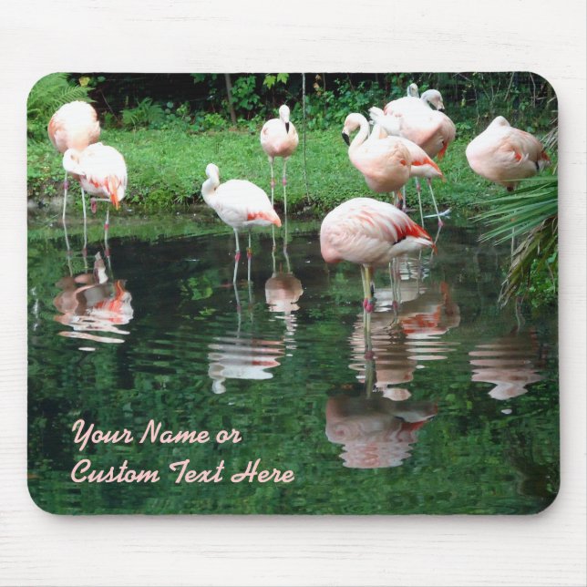 Tapis De Souris Extravagance de Flamant rose (Devant)