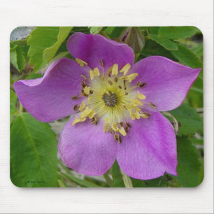 Tapis De Souris F13 Églantier Épineux Rosier Sauvage d'Alberta