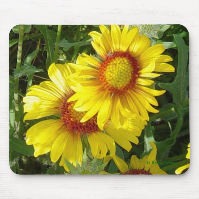 Tapis De Souris F6 Fleurs sauvages jaunes Gaillardia (Devant)