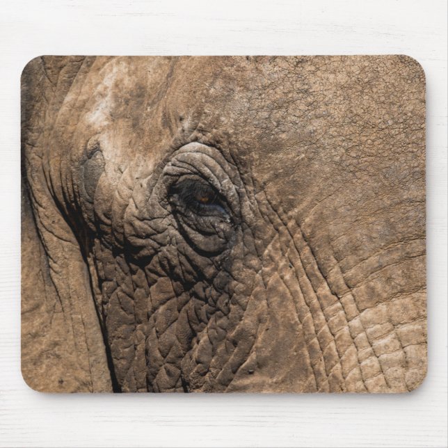 Tapis De Souris Face d'un éléphant (Devant)