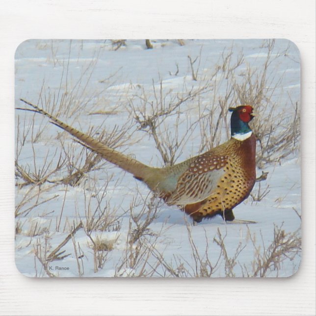 Tapis De Souris Faisan B22 Anneau-étranglé dans la neige (Devant)