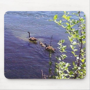Tapis De Souris Famille canadienne d'oies