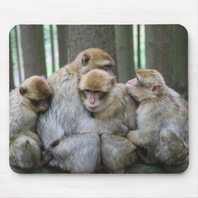 Tapis De Souris Famille Cute Ape Photo Hug (Devant)