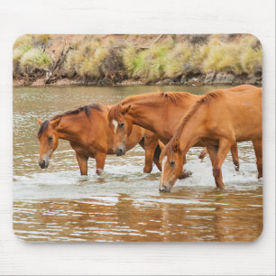 Tapis De Souris Famille de Cheval Brown à la rivière