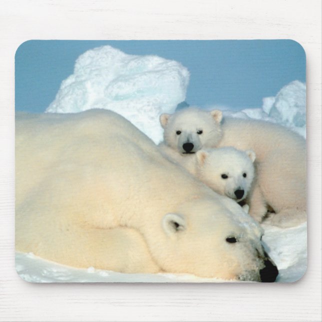 Tapis De Souris Famille d'ours blanc (Devant)